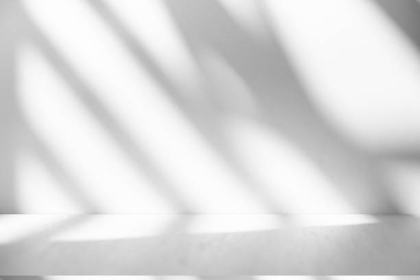 istock Studio style background wall decoration presentation uses white tones. with shadows cast from a nearby window, concept creating a decorative backdrop. 2169160389