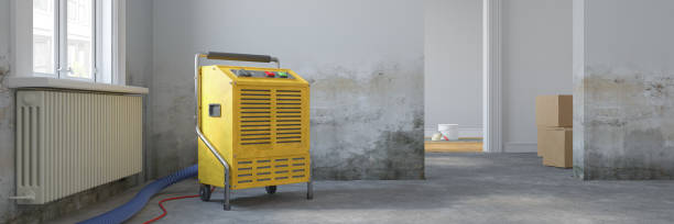 istock 3d rendering - empty scandinavian room - dehumidifier - renovate 2169165276