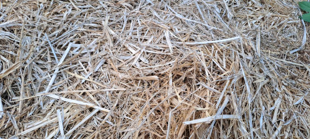 istock straw wall by dry grass to hay stack background or brown nature roof texture for decor architecture by countryside house to natural agriculture yellow golden wallpaper with pattern copy space 2169168853