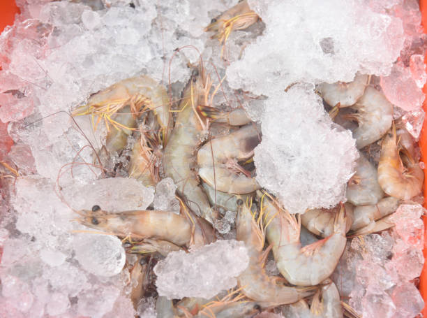 istock Fresh red shrimps seafood from Mediterranean sea in ice full frame 2169169505