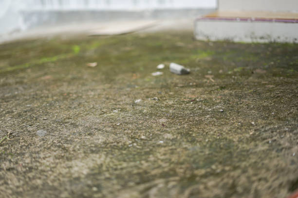 istock mossy house yard wall abstract 2169174297