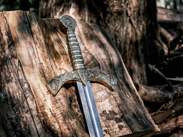 Close-up a beautiful medieval sword with a bronze hilt against the backdrop of felled old trees in the forest. Vintage image toning.