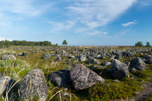 istock Boulders covering a mossy meadow 2169187161