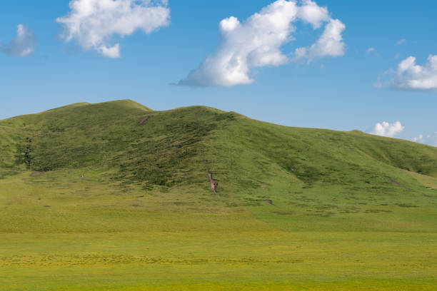 istock Ruoergai grassland, Aba Prefecture, Sichuan, China, blue sky and white clouds 2169188521