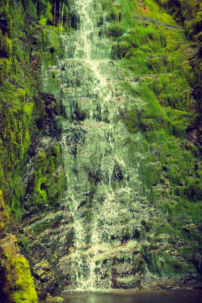 Little waterfall in green summer mountains, Norway.
