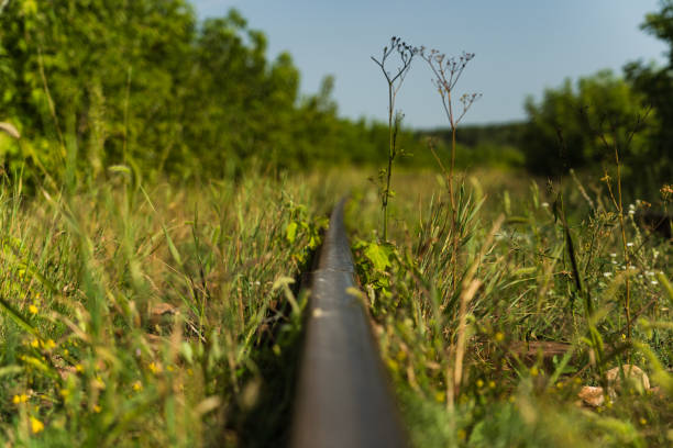 The railway rail is near, in the tall grass. High quality photo