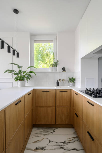 istock Kitchen design featuring wooden cabinets, white countertop and green plants 2169210954