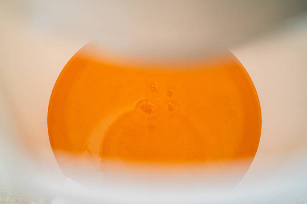 Filtered Honey Dripping into a Bucket After Extraction