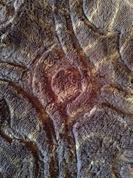 istock photo of mixed colors on fabric 2169211569