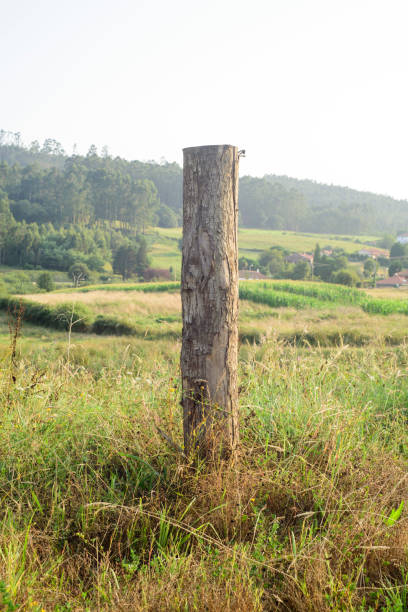 istock Bark picket fence in rural field 2169211768