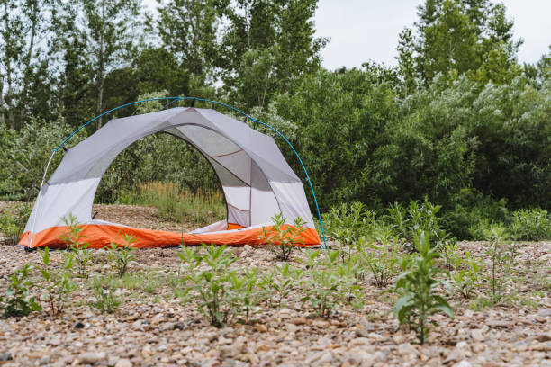 istock Immerse yourself in a beautiful camping setting with a modern tent in a tranquil forest, perfect for outdoor activities, relaxation, and reconnecting with nature 2169214835