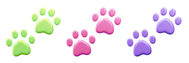 istock Paw prints of domestic animals, 3d vector icons 2169218724