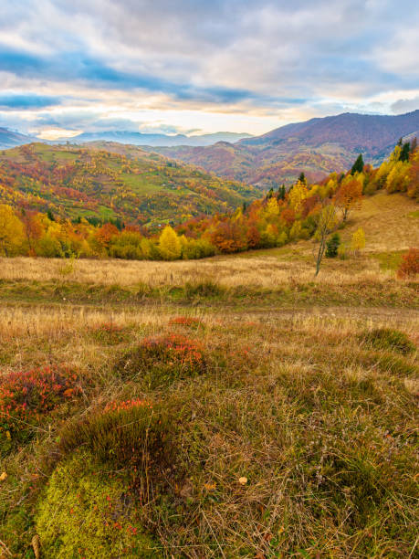 istock great view of ukraine mountain landscape 2169220823
