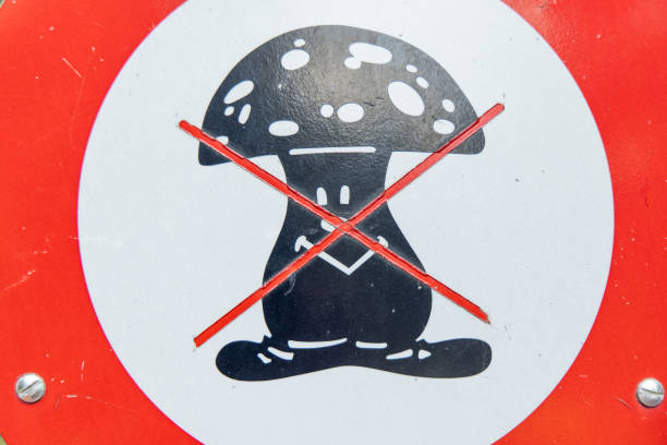 Close-up of a circular sign with a crossed-out mushroom symbol, indicating no foraging in the area. The sign is set against a backdrop of dense green forest.