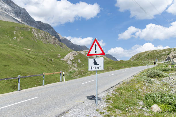 istock Warning Sign for Marmot Crossing on Mountain Road 2169221029