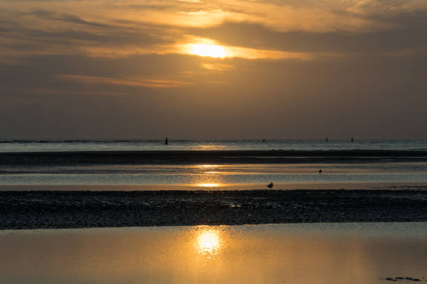 A view from Malahide Beach at low tide as the sun rises in the distance