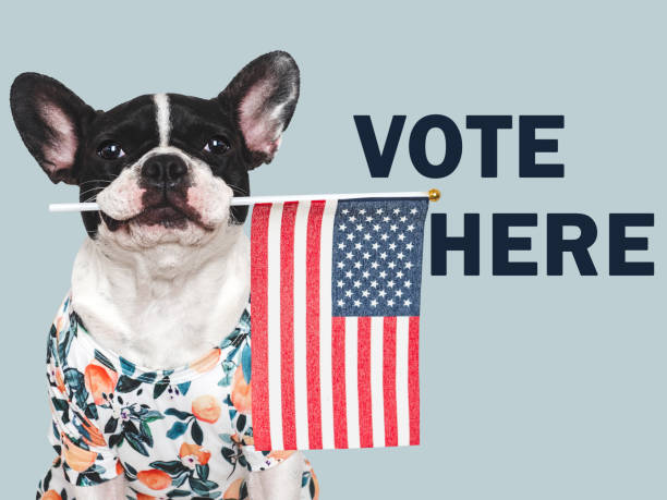 istock VOTE HERE. US Elections. 2024 Presidential Election 2169225095