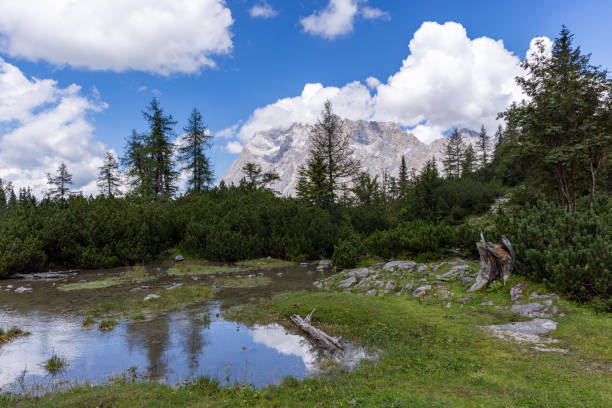 A serene alpine meadow featuring a small pond reflecting nearby trees and towering mountains, set against a bright blue sky with scattered clouds.