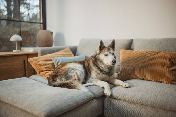 istock Enjoying in warm home 2169231638