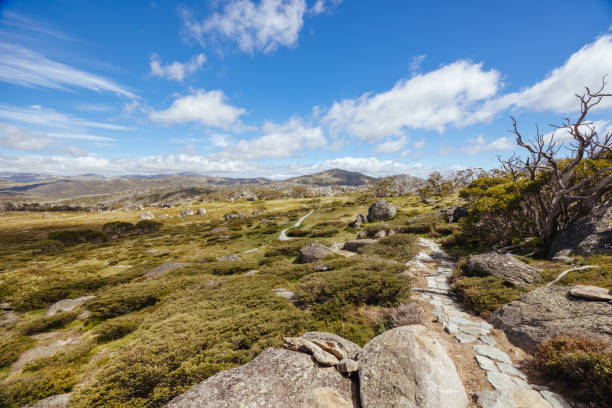 istock Porcupine Rocks Walk in Australia 2169236760