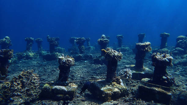 istock Atlantis the lost city underwater 2169239220