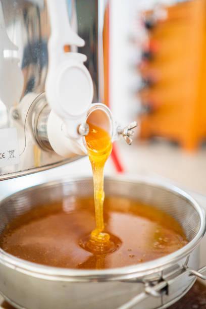 istock Thick Viscouse Bee Honey Flowing Out Into the Filtration 2169239649