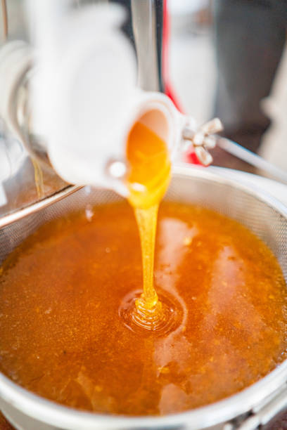 istock Delicious Viscouse Bee Honey Dripping and Flowing 2169239812