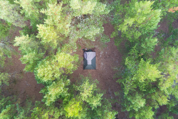 Sunlit tent stands between tall forest trees, viewed past a blurred tree trunk in the foreground. A serene and cozy camping scene capturing peaceful outdoor moments in nature.