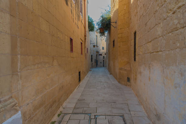 A traditional Maltese narrow street with trees on the roofs of houses and lanterns on the walls.