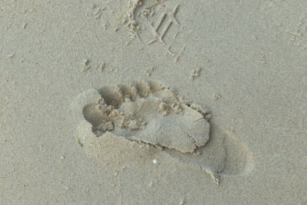 child's footprints in the beach sand