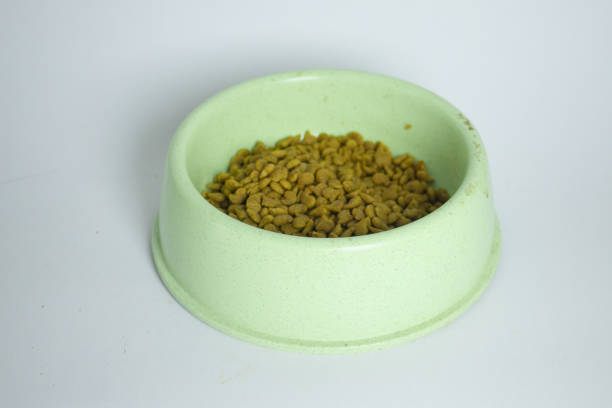 dry cat food contained in a green container with a white background isolated