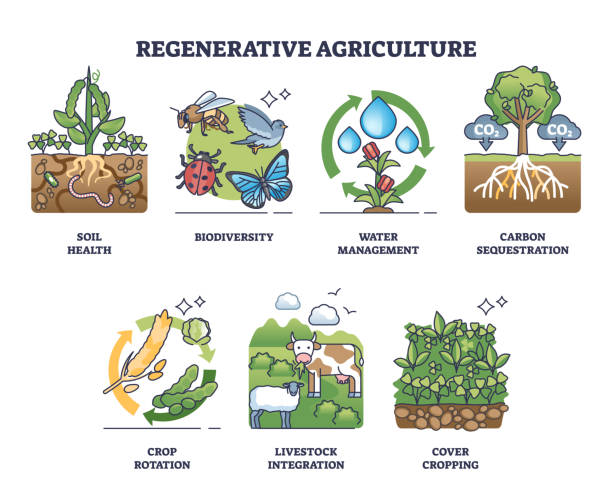 istock Regenerative agriculture and sustainable farming practices outline collection 2169259581