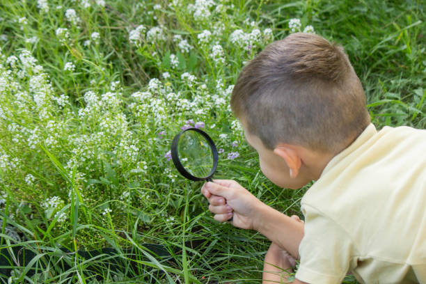 istock the boy looks at the flower through a magnifying glass. Selective focus 2169263338