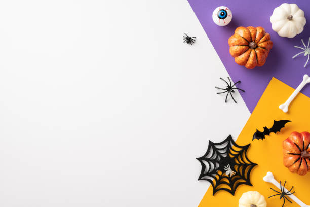 istock Creative Halloween background featuring pumpkins, spiders, and spooky decorations on a colorful backdrop perfect for festive and fun holiday themes 2169263475