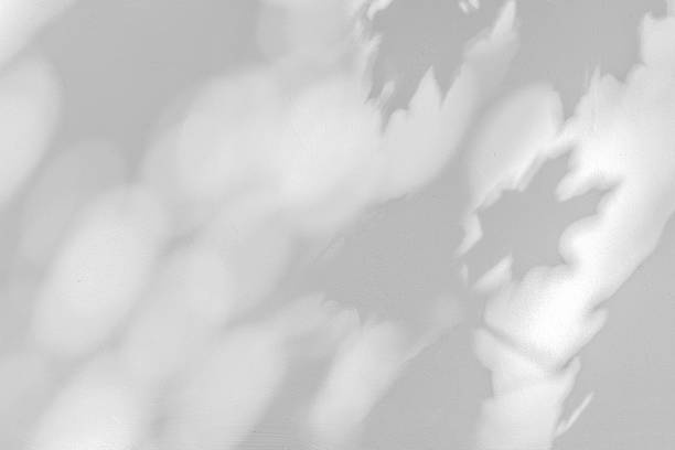 Shadow from dense foliage of maple tree on wall, light shadow from dense foliage and branches on wall.