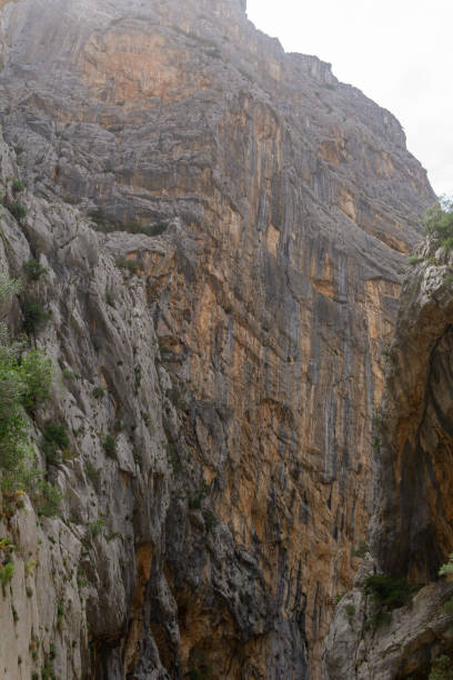 istock Mountain view in Sardinia 2169265763