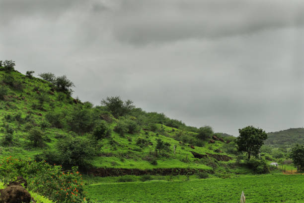 istock Green Forest or Jungle with Mountain Heel and Cloud Sky. beautiful jungle landscape Post monsoon lush green landscape of Sasan Gir, hills and the farms in Saurashtra region of india Gujarat. 2169265775