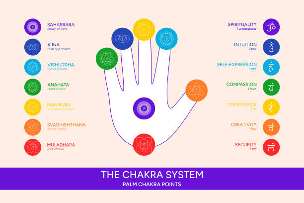 Palm chakra points. Chakras on a hand palm infographic vector illustration. Chakra system information with names, titles, line symbol icons Palm chakra points. Chakras on a hand palm infographic vector illustration. Chakra system information with names, titles, line art symbol icons chakra stock illustrations