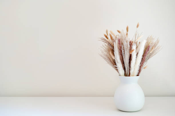 istock dried grasses and pampas in a simple white vase against a plain background 2169276926