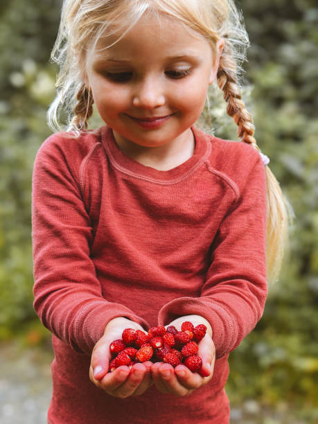 30+ Wild Strawberries In Norway Stock Photos and Royalty-Free
