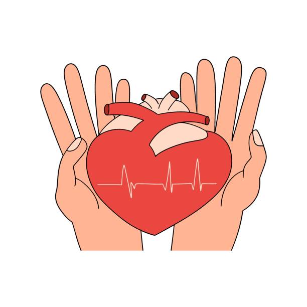 istock Heart on the hands. Medical cardiology illustration. Vector illustration in flat style 2169282539