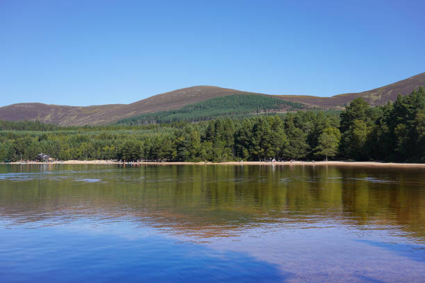 istock Loch Morlich and Glenmore forest in the Scottish highlands 2169283554