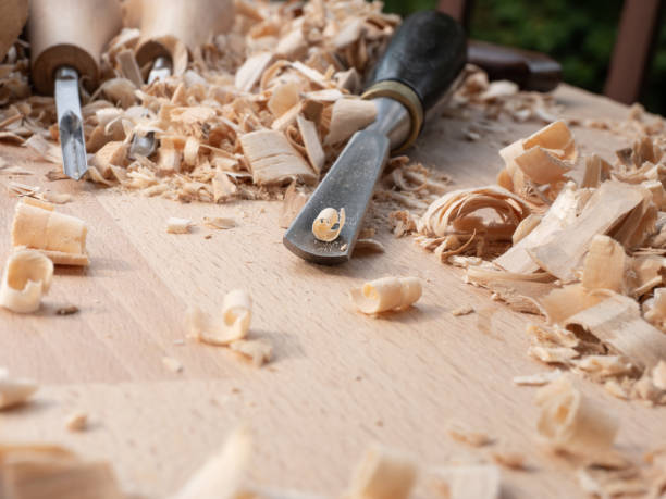 Close-up of shavings on a chisel. Other carving tools lie nearby. There are rolled shavings lying around the chisel.