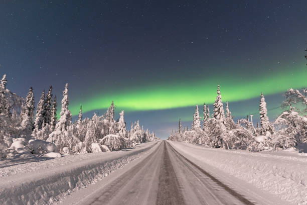 Northern lights (aurora borealis) over empty frozen road crossing snow-covered forest lit by moon, Swedish Lapland, Norrbotten, Sweden, Scandinavia, Europe