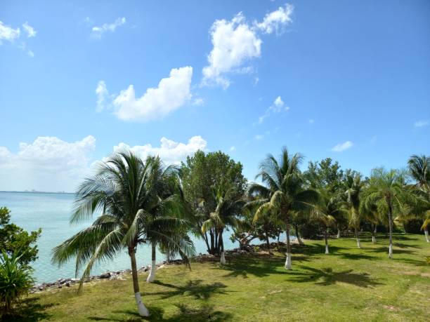 istock Mexico - Cancun - Xcaret 2169291583