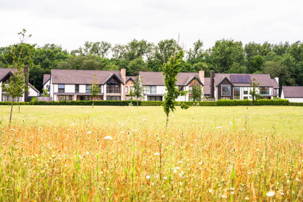 Modern detached homes in woodland