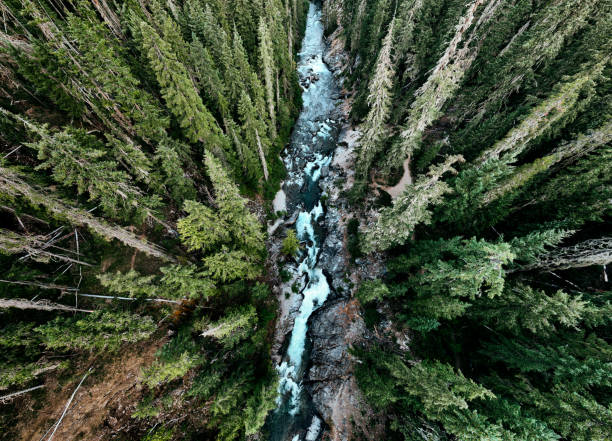 istock Beautiful Mountain Forest and River Scenics 2169293067