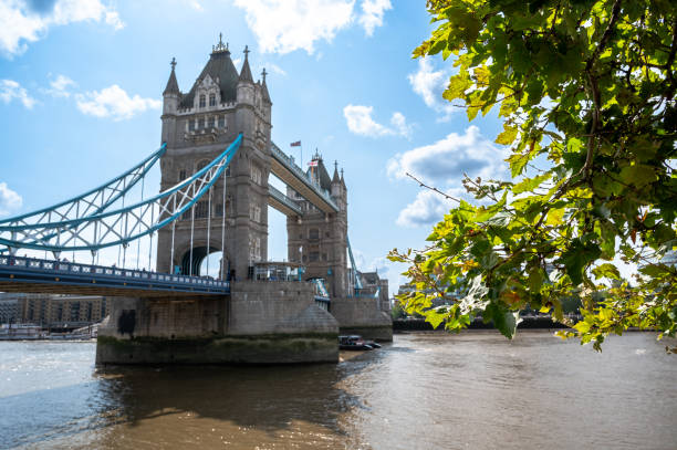 istock Tower Bridge in summer, London 2169293423