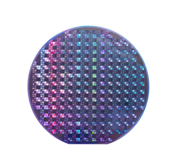 istock Silicon wafer with chips isolated on white background 2169294211