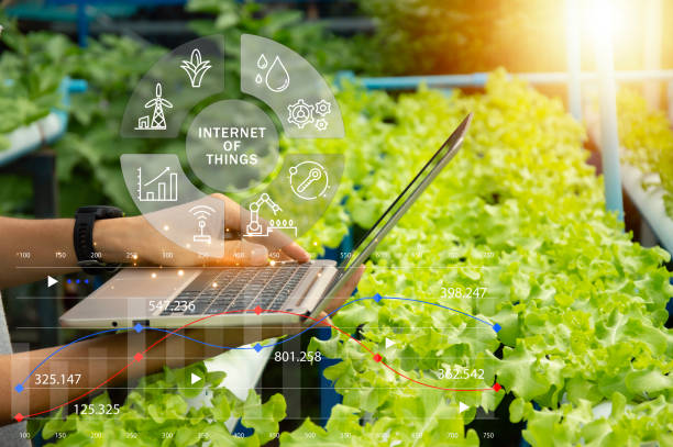 istock The concept of using AI and smart farming. 2169296939